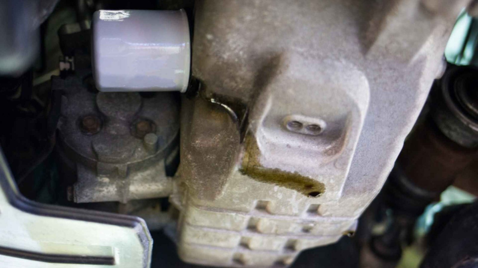 Car Oil Leak