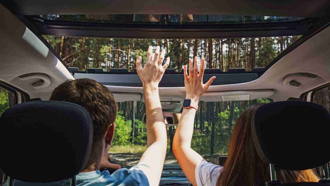 Couple In The Car With Their Hands Through Open Hatch