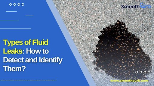 Types Of Fluid Leaks: How To Detect And Identify Them?